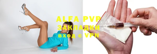 эйфоретик Ладушкин